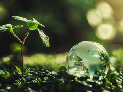 Towards entry "Study series “Future of Work” – Issue 3"